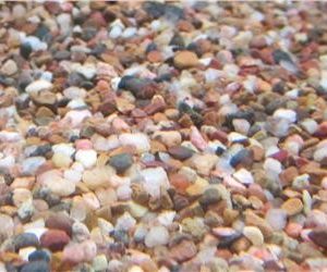 Coffs Harbour Gravel 3mm 5kg