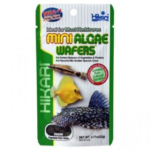 Hikari Mini Algae Wafer 22g